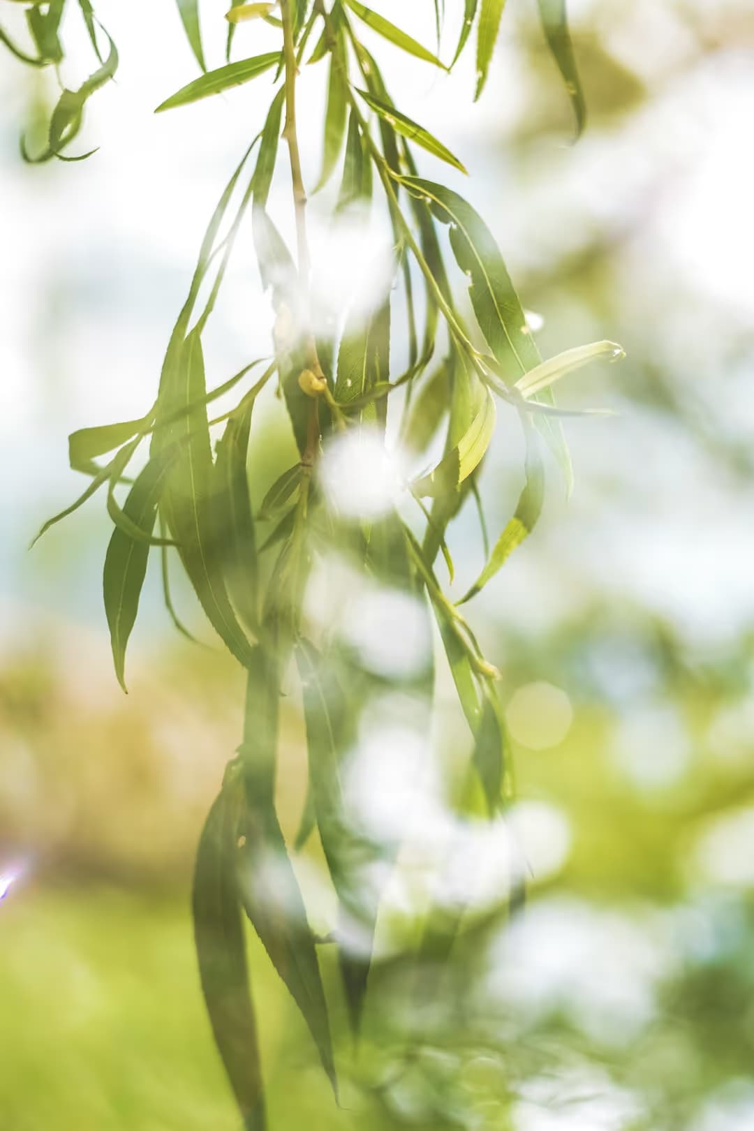 Tài Khoản Kế Toán Thông Tư 200: Hướng Dẫn Chi Tiết Từ A-Z Cho DN