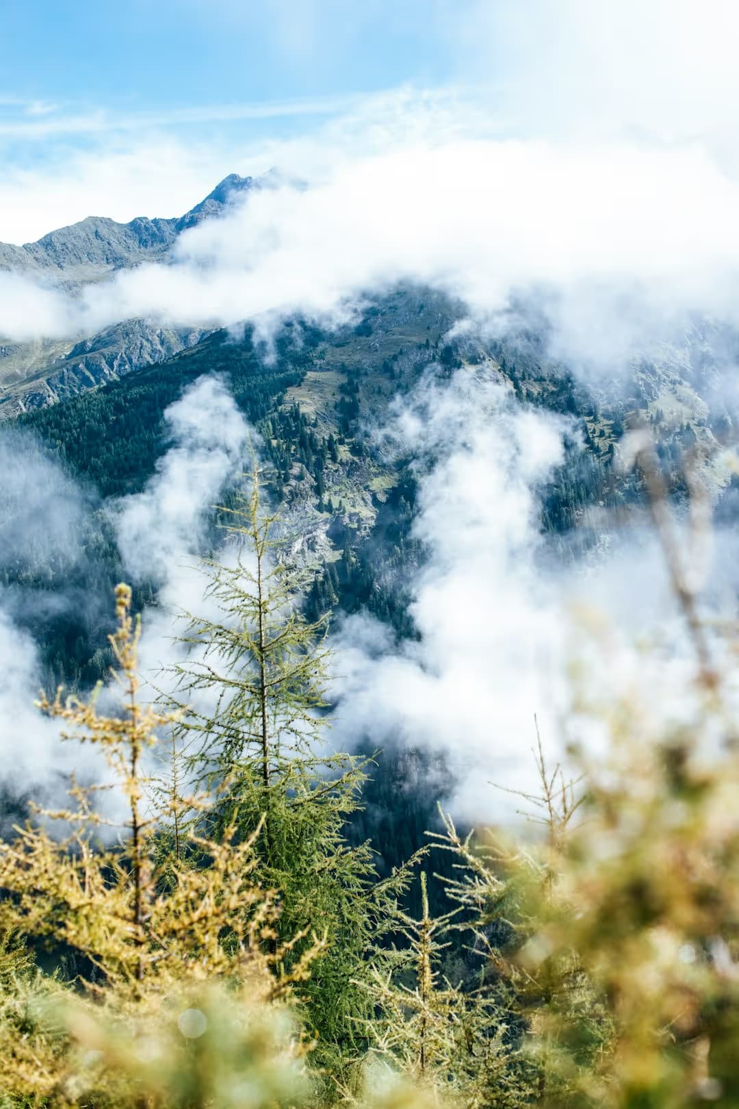 Thông Tư 78: Hướng Dẫn Chi Tiết Về Hóa Đơn Điện Tử Cho Doanh Nghiệp